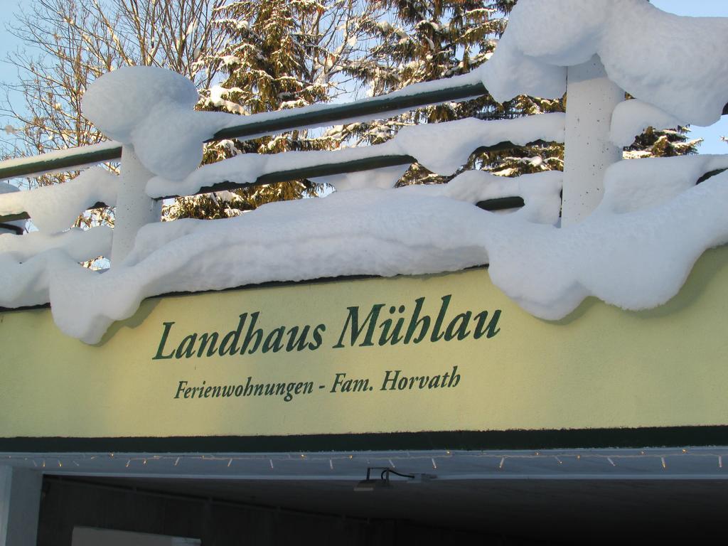 Apartment Landhaus Mühlau in Tirol Erpfendorf Exterior foto